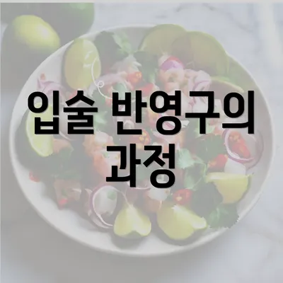 입술 반영구의 과정