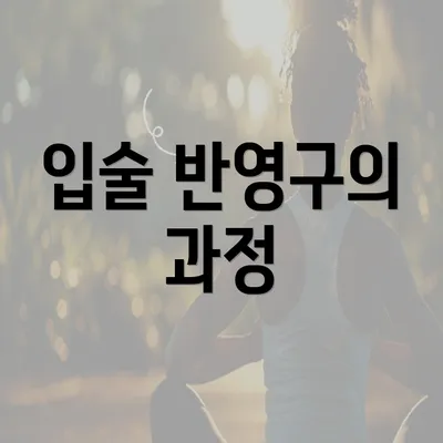 입술 반영구의 과정