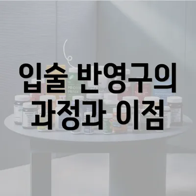 입술 반영구의 과정과 이점