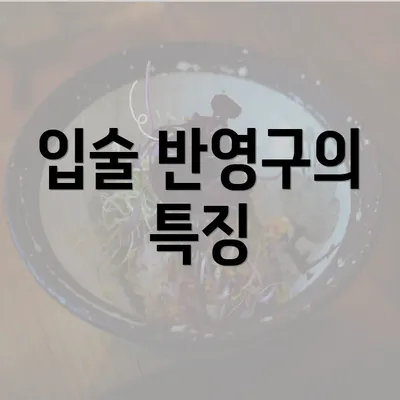 입술 반영구의 특징