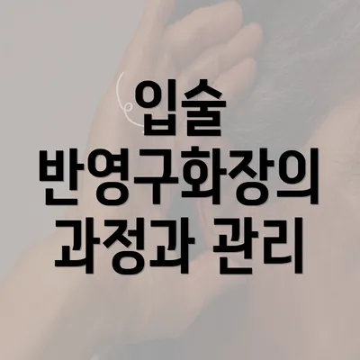 입술 반영구화장의 과정과 관리