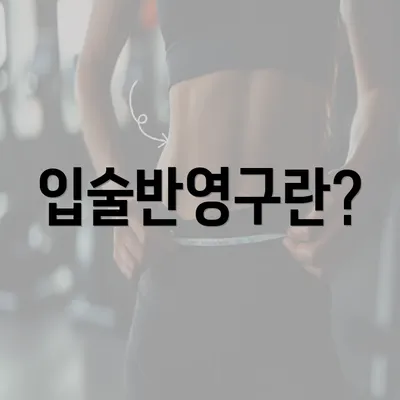 입술반영구란?