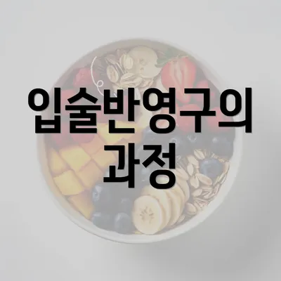 입술반영구의 과정