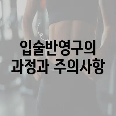 입술반영구의 과정과 주의사항