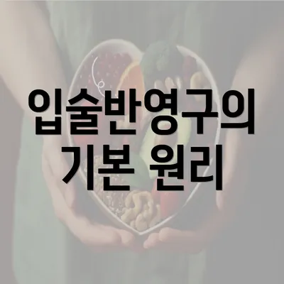 입술반영구의 기본 원리