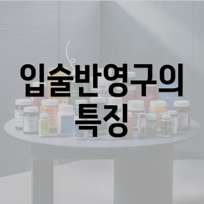 입술반영구의 특징