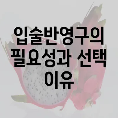 입술반영구의 필요성과 선택 이유