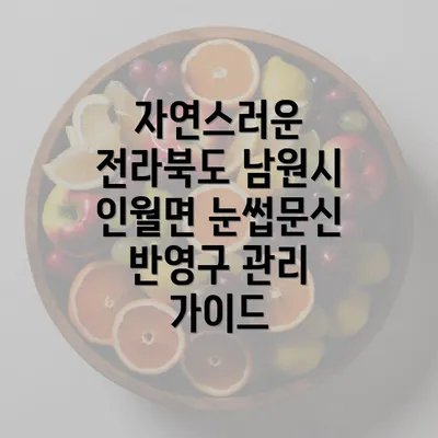 자연스러운 전라북도 남원시 인월면 눈썹문신 반영구 관리 가이드