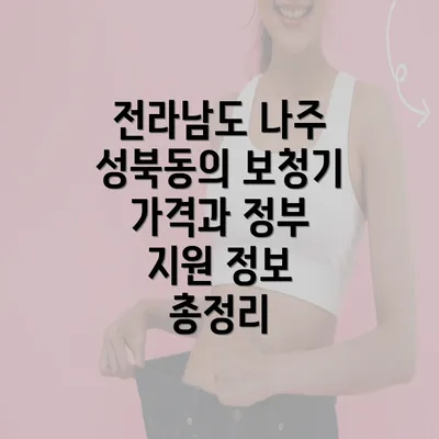 전라남도 나주 성북동의 보청기 가격과 정부 지원 정보 총정리