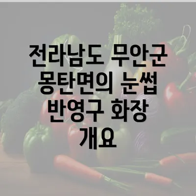 전라남도 무안군 몽탄면의 눈썹 반영구 화장 개요