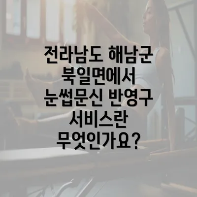 전라남도 해남군 북일면에서 눈썹문신 반영구 서비스란 무엇인가요?