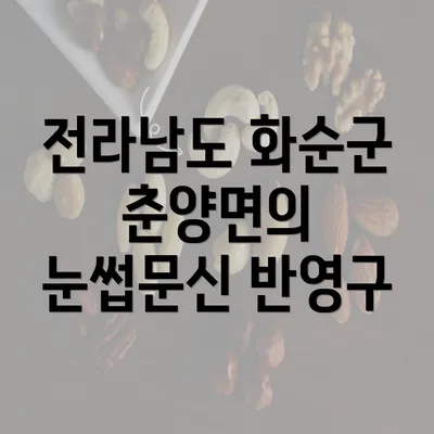 전라남도 화순군 춘양면의 눈썹문신 반영구