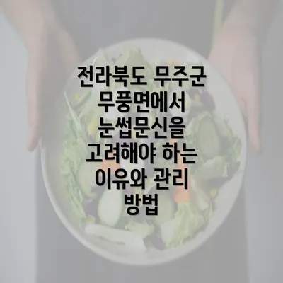 전라북도 무주군 무풍면에서 눈썹문신을 고려해야 하는 이유와 관리 방법