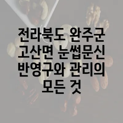 전라북도 완주군 고산면 눈썹문신 반영구와 관리의 모든 것