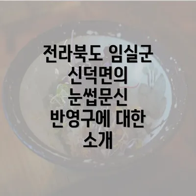 전라북도 임실군 신덕면의 눈썹문신 반영구에 대한 소개