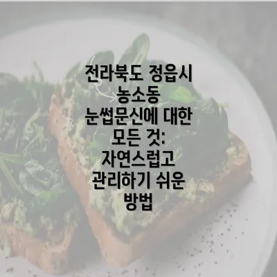 전라북도 정읍시 농소동 눈썹문신의 매력과 장점