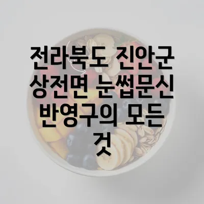 전라북도 진안군 상전면 눈썹문신 반영구의 모든 것