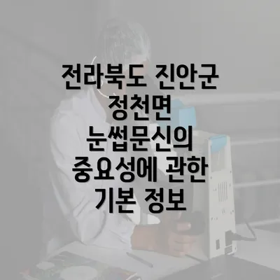 전라북도 진안군 정천면 눈썹문신의 중요성에 관한 기본 정보