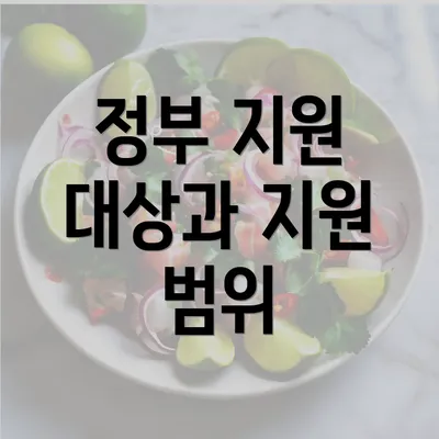 정부 지원 대상과 지원 범위