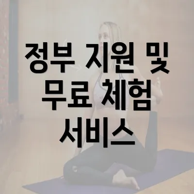 정부 지원 및 무료 체험 서비스