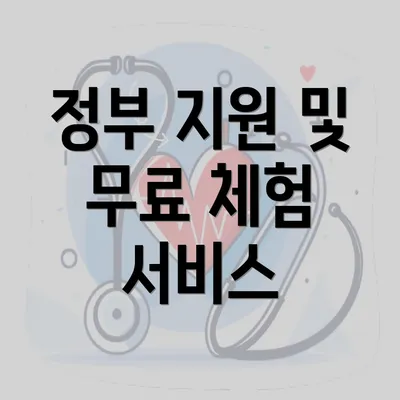 정부 지원 및 무료 체험 서비스