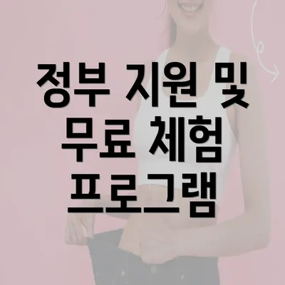 정부 지원 및 무료 체험 프로그램