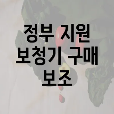 정부 지원 보청기 구매 보조