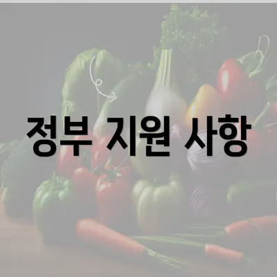 정부 지원 사항