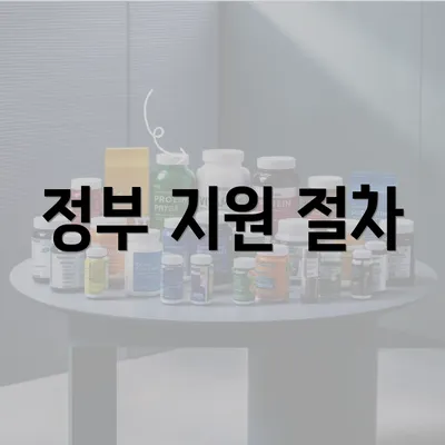 정부 지원 절차