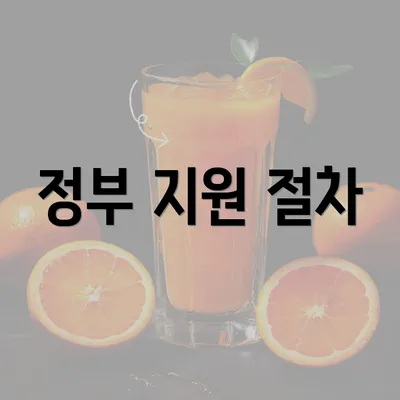 정부 지원 절차