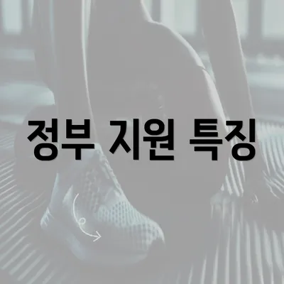 정부 지원 특징