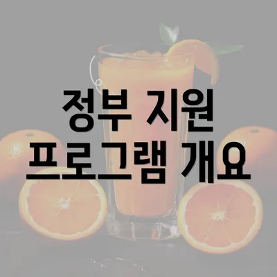 정부 지원 프로그램 개요