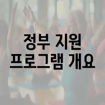 정부 지원 프로그램 개요