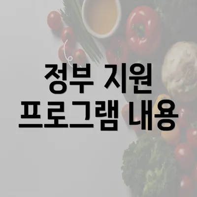 정부 지원 프로그램 내용