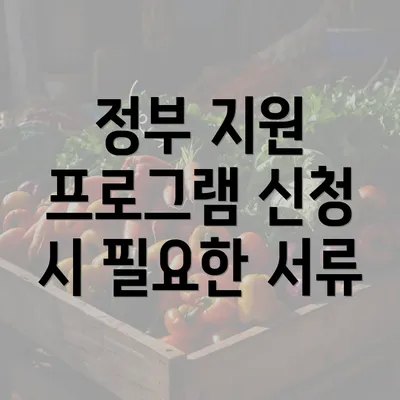 정부 지원 프로그램 신청 시 필요한 서류