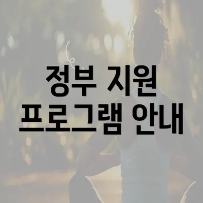 정부 지원 프로그램 안내