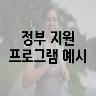 정부 지원 프로그램 예시