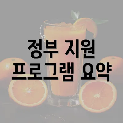 정부 지원 프로그램 요약