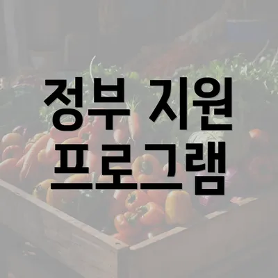 정부 지원 프로그램