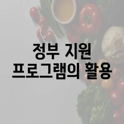 정부 지원 프로그램의 활용