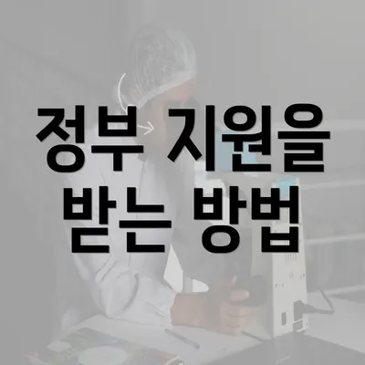 정부 지원을 받는 방법