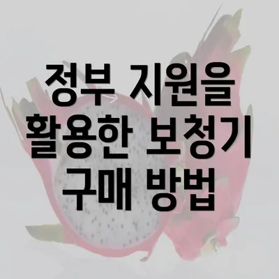 정부 지원을 활용한 보청기 구매 방법