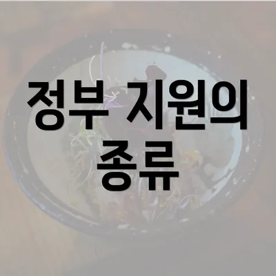 정부 지원의 종류