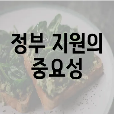 정부 지원의 중요성