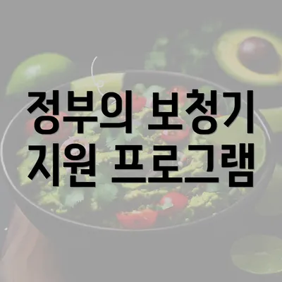 정부의 보청기 지원 프로그램