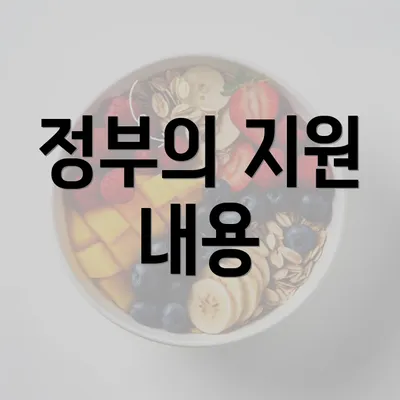 정부의 지원 내용