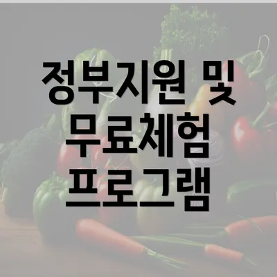 정부지원 및 무료체험 프로그램