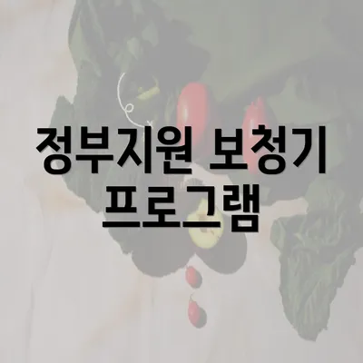 정부지원 보청기 프로그램