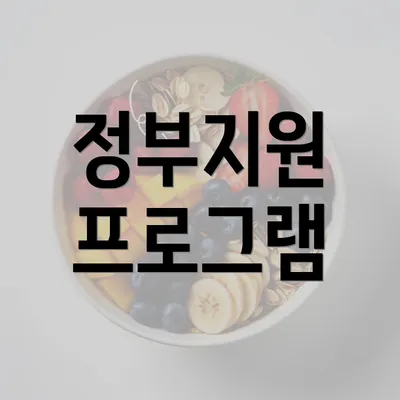 정부지원 프로그램