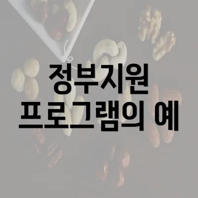 정부지원 프로그램의 예